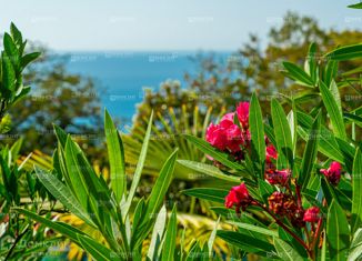 Дом на продажу, 350 м2, Сочи, микрорайон Приморье, Благодатная улица