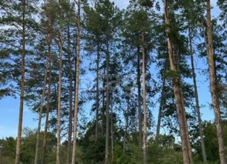 Продам земельный участок, 5.3 сот., ДНТ Импульс, Осиновая улица