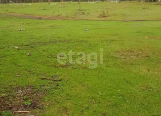 Участок на продажу, 11 сот., село Турочак