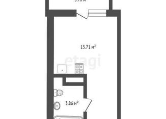 Продается квартира студия, 19.57 м2, деревня Патрушева, ЖК Никольский