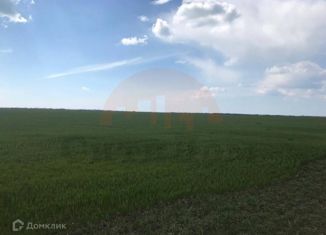 Продаю участок, 200 сот., село Крайнее