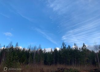 Продаю земельный участок, 13 сот., посёлок Палкинский Торфяник