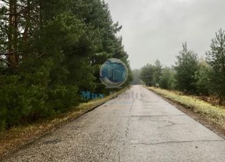 Продажа участка, 245 сот., деревня Пласкинино, Центральная улица