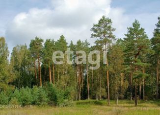 Продам участок, 15.2 сот., деревня Вечерницы, Лесная улица