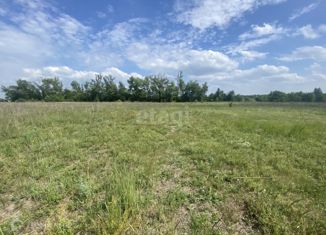 Продается участок, 15 сот., село Новокладовое