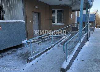 Продажа квартиры студии, 25 м2, Новосибирск, Рябиновая улица, 10/1, Рябиновая улица