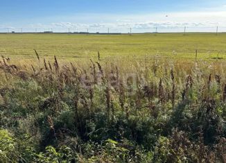 Продам участок, 15 сот., село Марково