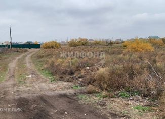 Продается участок, 800 сот., село Атал, Молодёжная улица