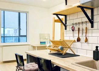 Квартира в аренду студия, 25 м2, поселок Бугры, Петровский бульвар, 27