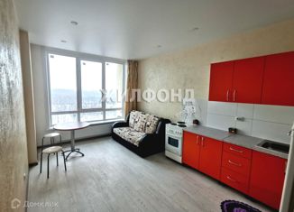 Продам квартиру студию, 47 м2, Новосибирск, Рябиновая улица, 14/1, Рябиновая улица