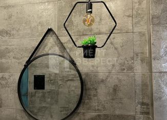 Продается квартира студия, 30 м2, село Осиновая Гора, улица Аркадия Шипунова, 18, ЖК Суворовский