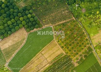 Продам земельный участок, 630 сот., массив Живописное, Солнечная улица