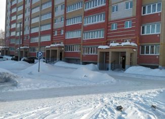 Продаю 1-ком. квартиру, 43 м2, село Семёновка, Молодёжная улица, 14В