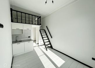 Комната на продажу, 12 м2, Санкт-Петербург, набережная реки Фонтанки, 94, метро Спасская