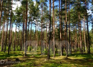 Продам земельный участок, 24 сот., деревня Жуковка, 2-я Академическая улица