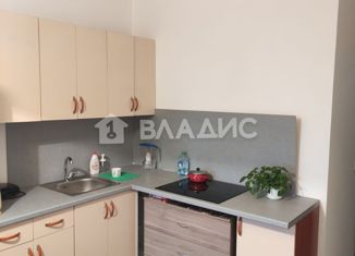 Продажа квартиры студии, 24.2 м2, Санкт-Петербург, проспект Будённого, 23к5, ЖК Солнечный Город