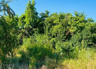 Участок на продажу, 18 сот., садовое товарищество Дружба