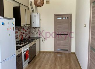 Продаю 1-ком. квартиру, 49 м2, село Мысхако, улица имени Георгия Соколова, 9