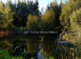 Продажа дома, 40 м2, деревня Малинки