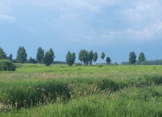 Участок на продажу, 392 сот., деревня Ивановка