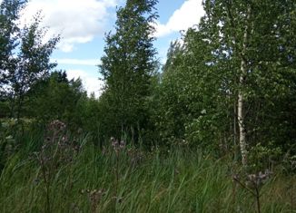 Продам участок, 6 сот., деревня Трубников Бор