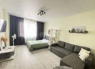 1-комнатная квартира в аренду, 40 м2, Новосибирск, улица Писарева, 125, улица Писарева