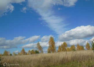 Продам участок, 10 сот., деревня Солонечная, Малиновая улица