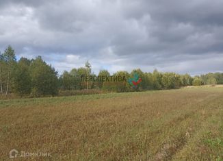 Продажа земельного участка, 22 сот., деревня Хвощи