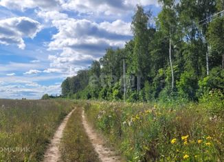 Продается земельный участок, 10 сот., деревня Нолька, Центральная улица