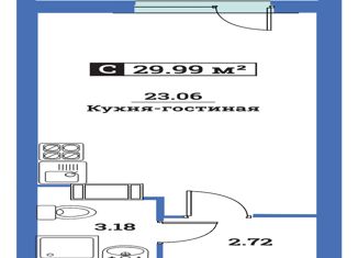Продажа квартиры студии, 29.99 м2, деревня Лаврики, деревня Лаврики, 10