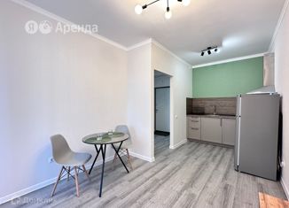 Аренда 1-комнатной квартиры, 37 м2, Санкт-Петербург, Михайловская дорога, 16к3