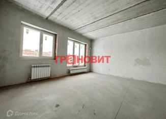 Продается трехкомнатная квартира, 53.9 м2, Новосибирская область, микрорайон Берёзки, 168