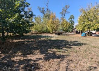 Продажа земельного участка, 6 сот., ДНО Виктория, Ромашковая улица, 248