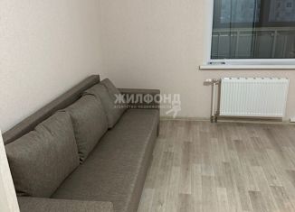 1-комнатная квартира в аренду, 38 м2, Новосибирская область, улица Бородина, 56