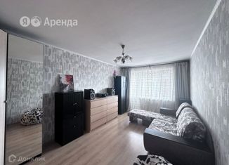 Сдача в аренду 1-комнатной квартиры, 44 м2, Ленинградская область, Нижняя улица, 7
