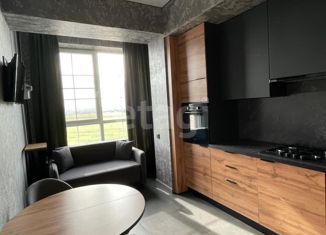 Продаю 1-комнатную квартиру, 36.5 м2, поселок Темерницкий, Центральная улица, 3к4