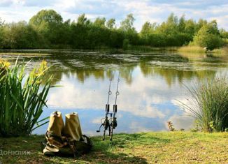 Продаю участок, 97 сот., деревня Зинино
