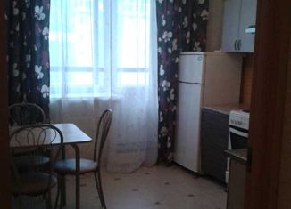 Сдам 1-ком. квартиру, 40 м2, Санкт-Петербург, улица Фёдора Абрамова, 4, метро Парнас