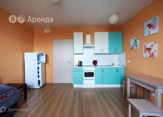 Квартира в аренду студия, 27 м2, Санкт-Петербург, проспект Королёва, 57к1, муниципальный округ Юнтолово