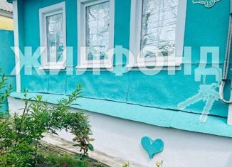 Дом на продажу, 51 м2, село Пушкарное, Центральная улица, 148