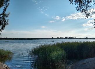 Продажа дома, 120 м2, деревня Кушелово, Большая улица, 58