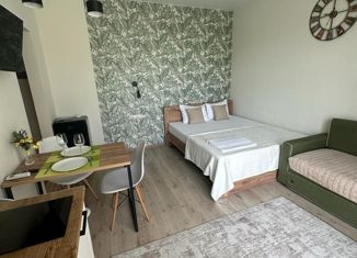 Продам квартиру студию, 23.3 м2, Горячий Ключ, Санаторная улица, 13