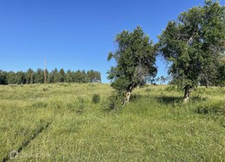 Продам земельный участок, 540 сот., село Нижнекаянча, Центральная улица, 54