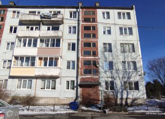 Продаю двухкомнатную квартиру, 45 м2, Ленинградская область, Центральная улица, 6