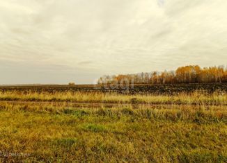 Продаю участок, 9.5 сот., село Горьковка, Сибирская улица