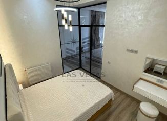 Сдается 2-ком. квартира, 50 м2, Казань, улица Чехова, 6Г, Вахитовский район