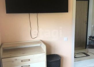 Продам дом, 31.5 м2, поселок Ласкино, 17-я Янтарная улица