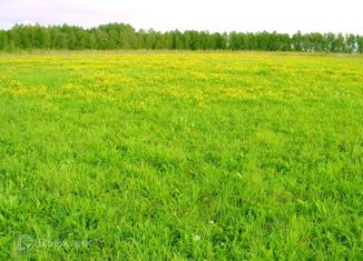 Продам земельный участок, 13 сот., деревня Малый Сундырь