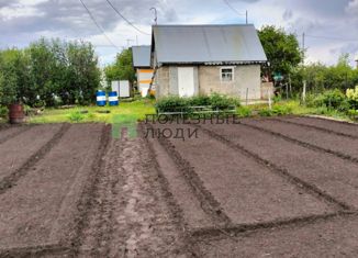 Дом на продажу, 20 м2, Алтайский край, Полевая улица