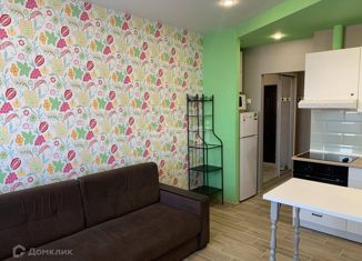 Продаю квартиру студию, 25 м2, Краснодар, улица им. Героя Сарабеева В.И., 3, ЖК Керченский